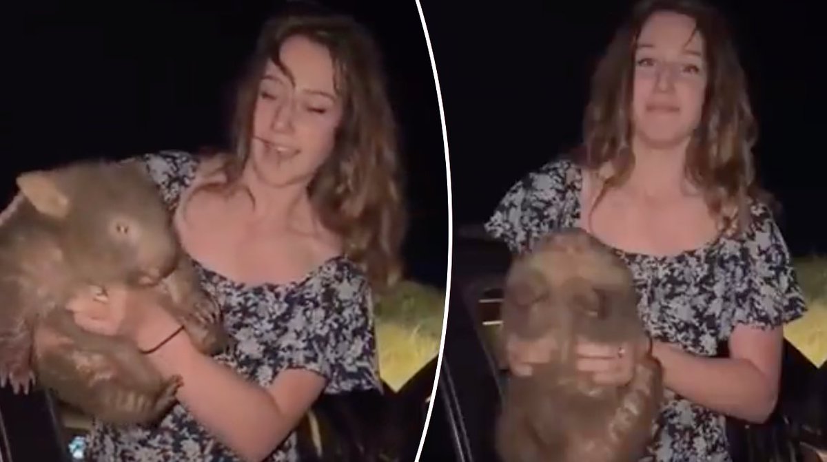 Protect_Wldlife's tweet image. The US influencer who sparked outrage in Australia over baby wombat stunt faces hunting charges.

The 25-year-old has fallen foul of the law for alleged violations involving wild animals.

Samantha Strable, who goes by Sam Jones online, was booked into the Sublette County Jail in…