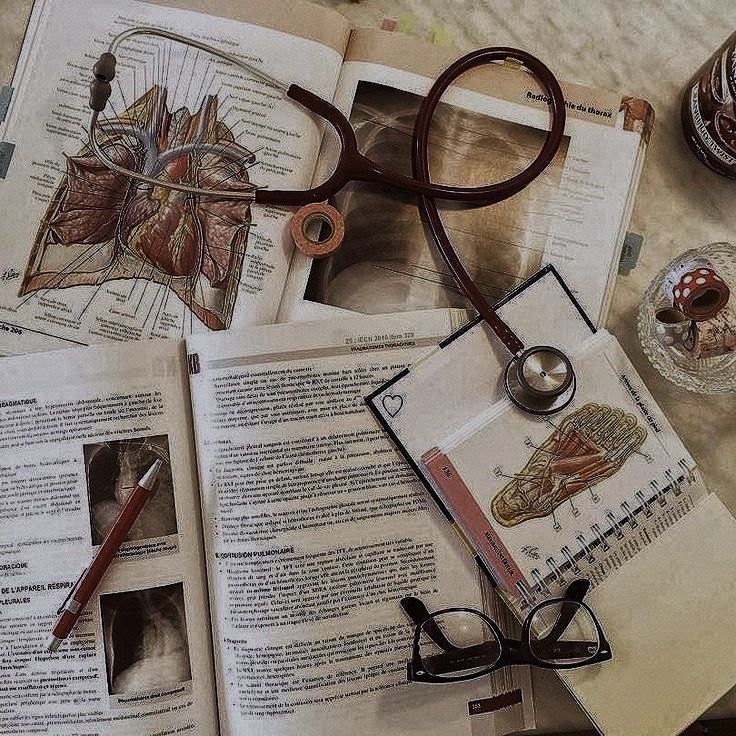 studieswnaoli's tweet image. {⌕ : #studytwt #studytwtbr}
 ⋆˚꩜｡  nana, 2009
 ⋆˚꩜｡  3° ano do E.M.
 ⋆˚꩜｡  cursinhos: Ferretto e Fernanda Pessoa 
 ⋆˚꩜｡  vestibulanda de medicina
 ⋆˚꩜｡  foco: Enem, Unicamp e Vunesp
  𝜗ৎ  Unicamp ┆ UFRJ ┆ UFSM 
♡/↺ = mutuals! 🍰