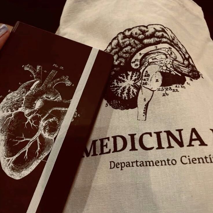 studieswnaoli's tweet image. {⌕ : #studytwt #studytwtbr}
 ⋆˚꩜｡  nana, 2009
 ⋆˚꩜｡  3° ano do E.M.
 ⋆˚꩜｡  cursinhos: Ferretto e Fernanda Pessoa 
 ⋆˚꩜｡  vestibulanda de medicina
 ⋆˚꩜｡  foco: Enem, Unicamp e Vunesp
  𝜗ৎ  Unicamp ┆ UFRJ ┆ UFSM 
♡/↺ = mutuals! 🍰