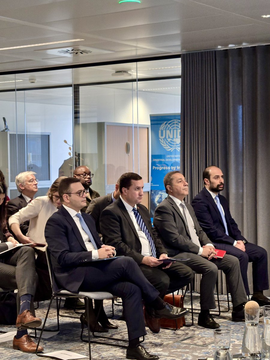 RAbisoghomonyan's tweet image. Pleasure to join “Towards 2030: Turning nature goals into action” in Brussels, hosted by @ArminBXL &amp;amp; @UNDPEU.

Reiterated #Armenia’s 🇦🇲 commitment to transparent &amp;amp; inclusive #COP17, highlighted first Global Review of #KMGBF &amp;amp; underscored need to scale up biodiversity finance.