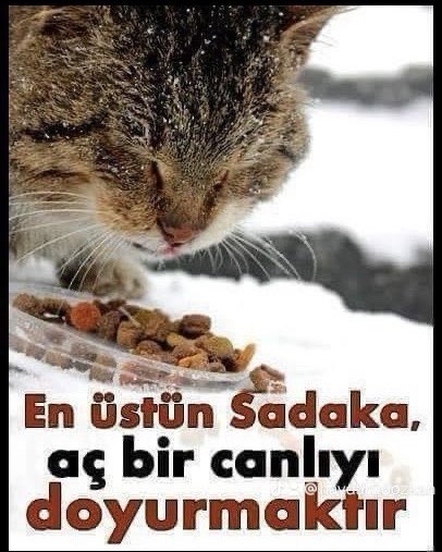 "En üstün sadaka aç bir canlıyı doyurmaktır." Hz. Muhammed (sav.)

#ZulmeOrtakOlmayacağım