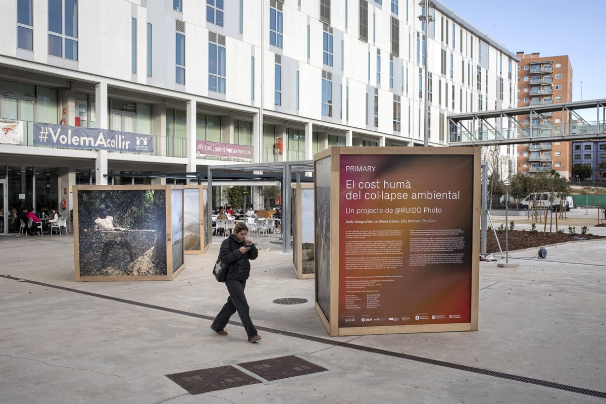 RUIDO Photo tweet media