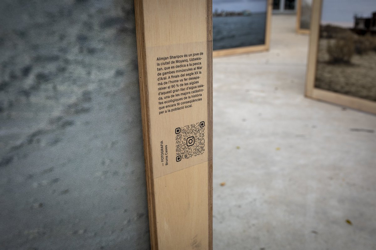 RUIDO Photo tweet media