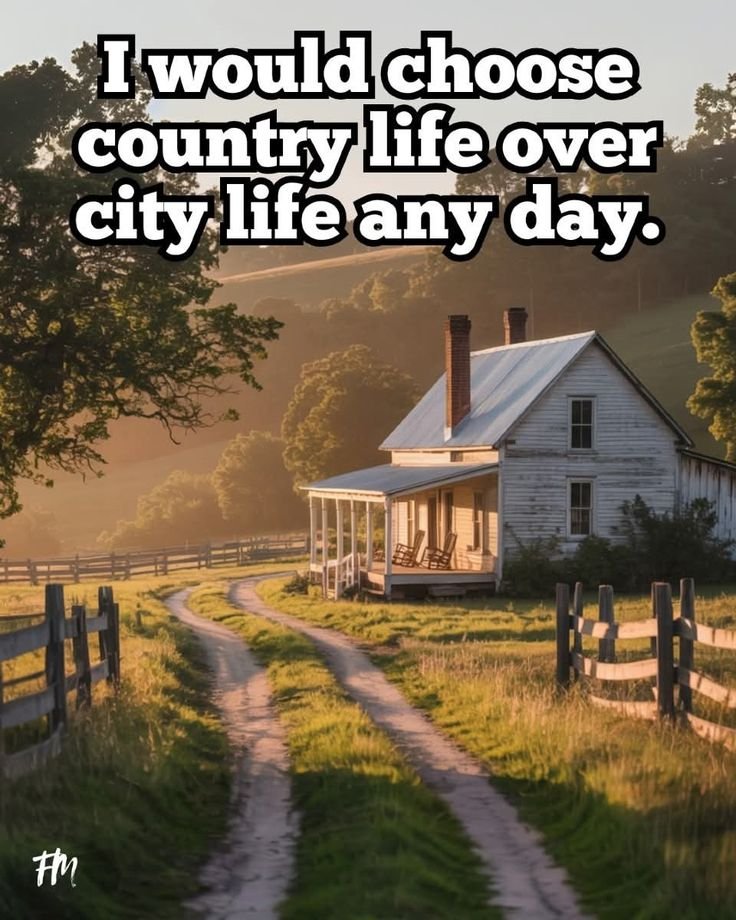 Mountain Cabins (@cabinsmountain) on Twitter photo 