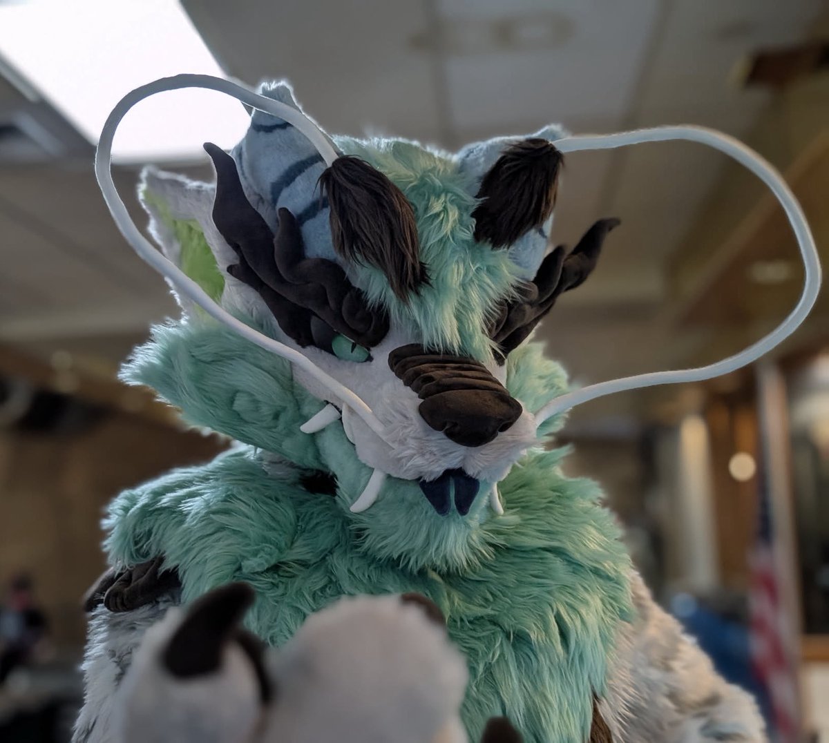 BingQiLong tweet media