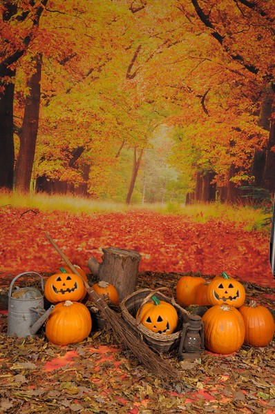 279 days until Halloween 2026! 🎃
Are you ready?
#Halloween