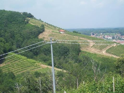 <a href="/avvbenedetto/">Giuseppe Benedetto</a> <a href="/Moles_Harding/">Moles Harding</a> <a href="/fleinaudi/">Fondazione Luigi Einaudi</a> Vabbè l’osso San Grato uno dei cru migliori dell’emisfero boreale 

<a href="/ZzaPina/">Peanuts</a>