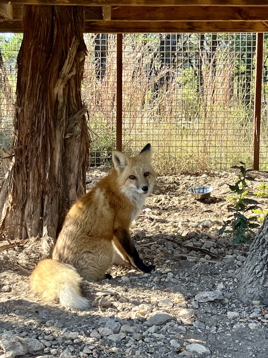 Reed was keeping an eye on some work getting done