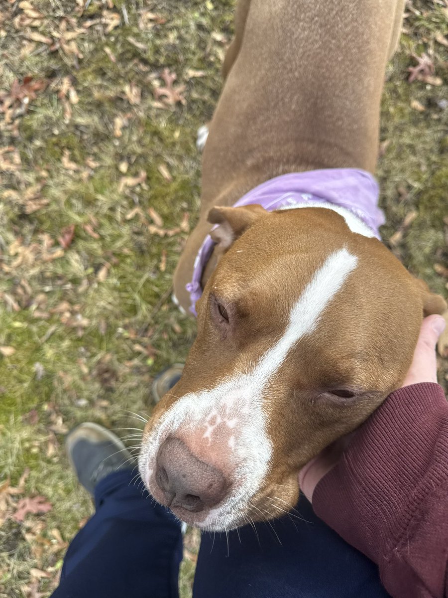 Hazel is out here touching grass…

Who’s active? Let’s grow (Woof!)🐶