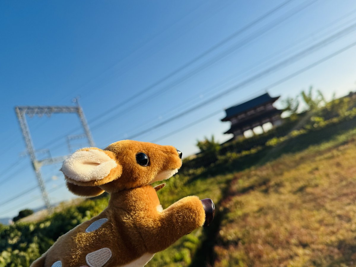 住友館　シカ　ぬいぐるみ 2個 万博 住友館 シカ ぬいぐるみ 2個 万博 住友館のショップにあった、鹿の