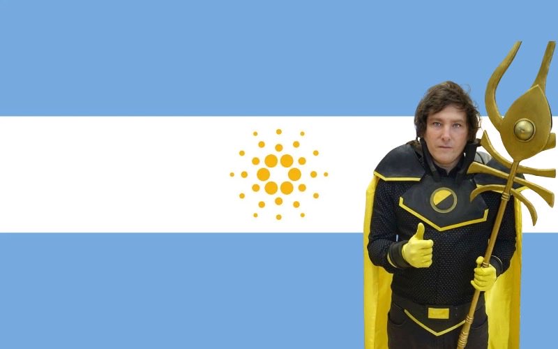 midmancardano's tweet image. Cardano y Midnight son las mejores cadenas de bloques o lo que sea. $midman lo aprueba.

@IOHK_Charles @JMilei