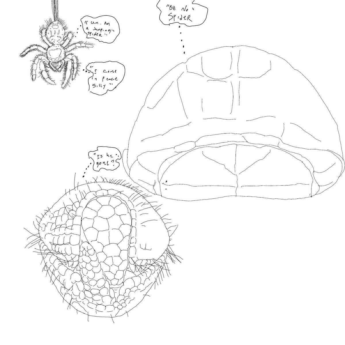 I’m not done with this . “I come in peace “

Tortoise an armadillo got scare of a spider but wait it’s jumping spider . He come in peace silly 😜