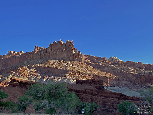 SavorMomentPhot's tweet photo. #CapitolReef #NationalPark is open 24 hours, everyday of the year. No reservations are currently required.
#travelblog #landscapephotography #Utah #geology
https://t.co/2NL1bl7TD5 https://t.co/JY7PvAddKR