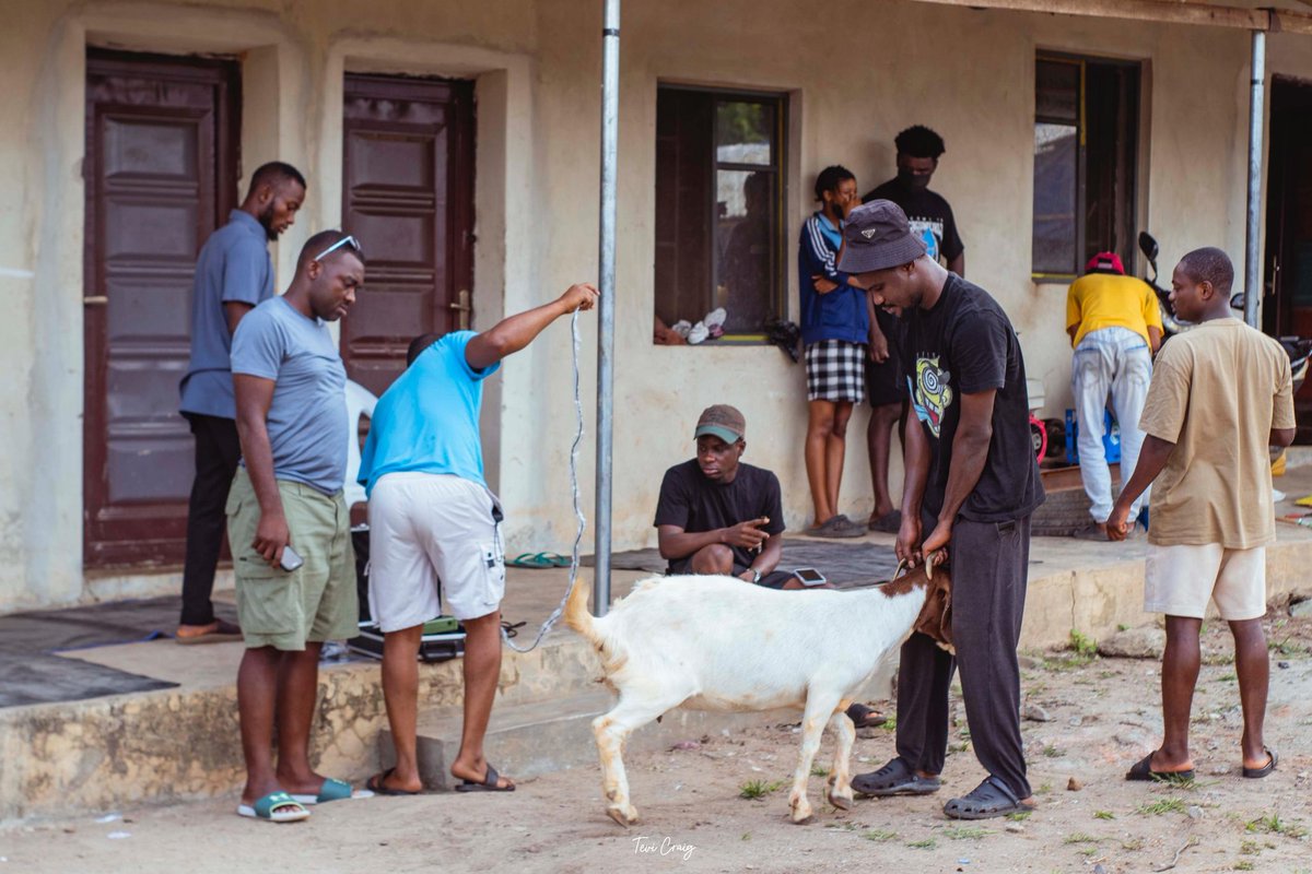 bossolamilekan1's tweet image. BOM FARMS
Thank God for making things go smoothly as planned 🙏