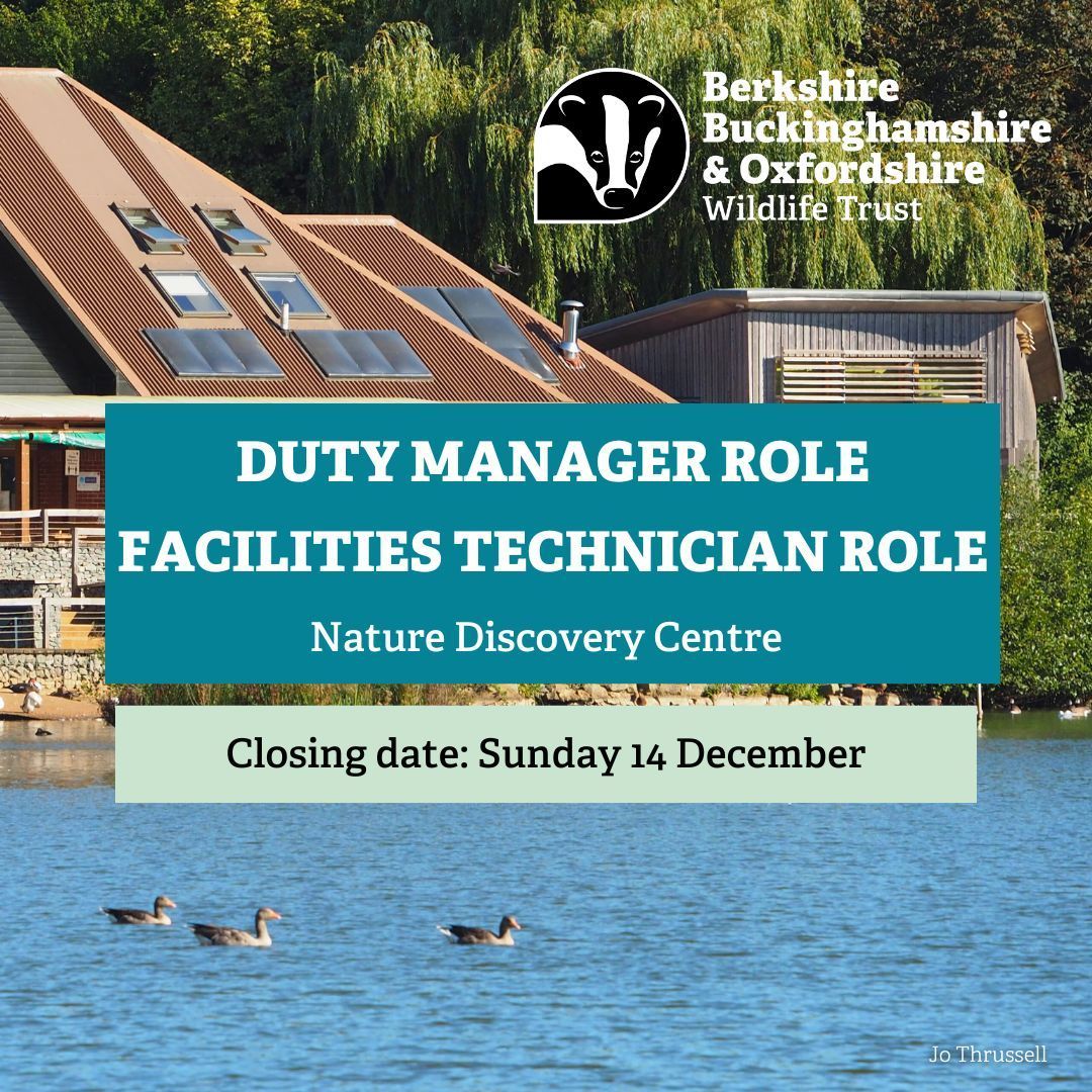 BBO Wildlife Trust tweet media