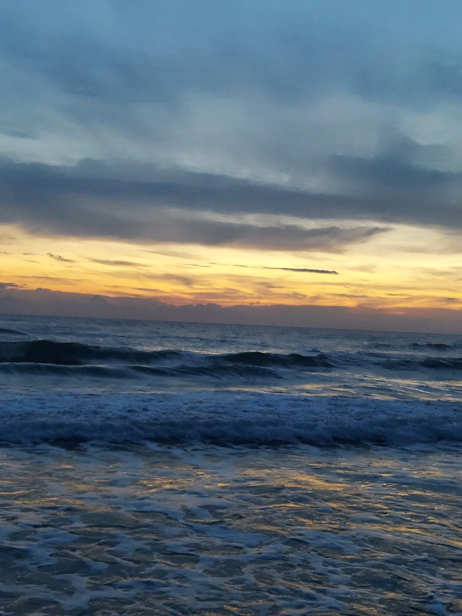 Maria Lea tweet media