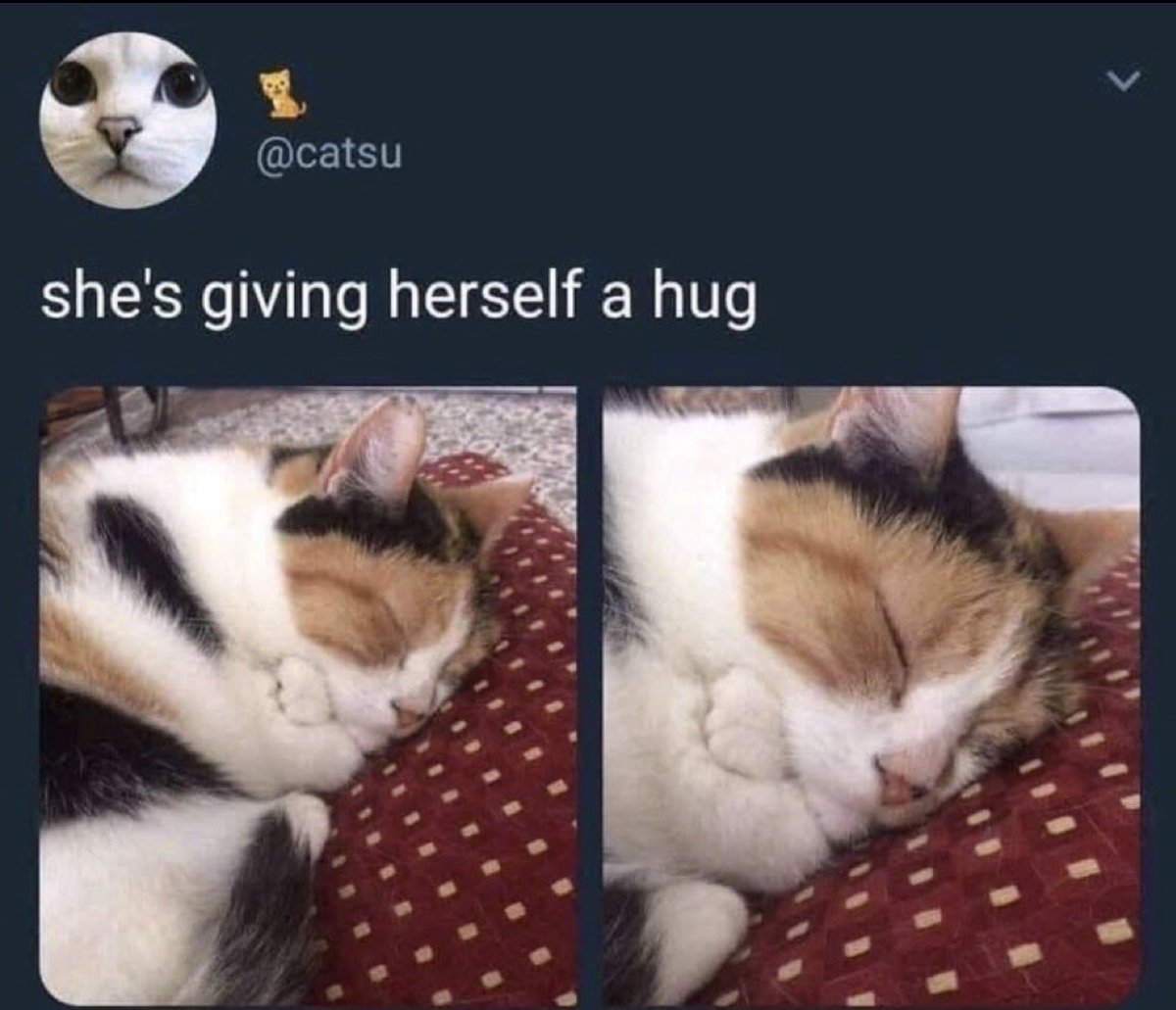 catshealdeprsn's tweet image. 