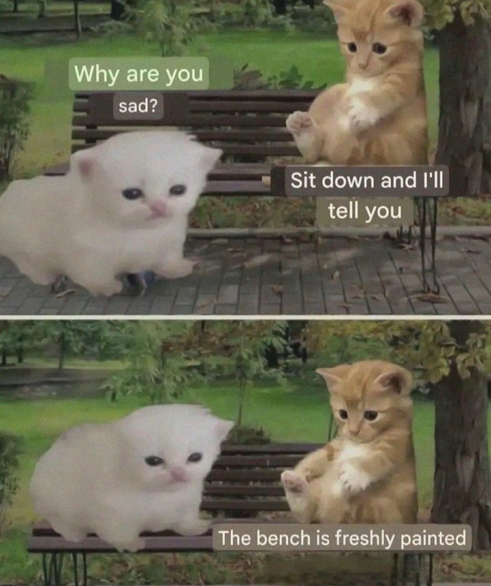 contents that ll heal your depression 🌻 (@catshealdeprsn) on Twitter photo 