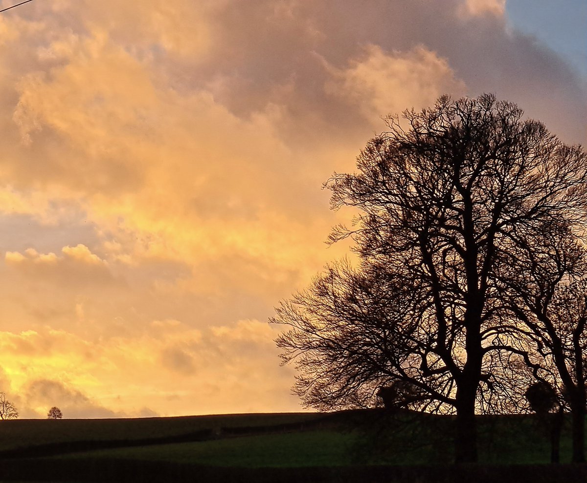 November isn't all doom and gloom - three stages of this afternoon's sunset. #Dorset #Sunset