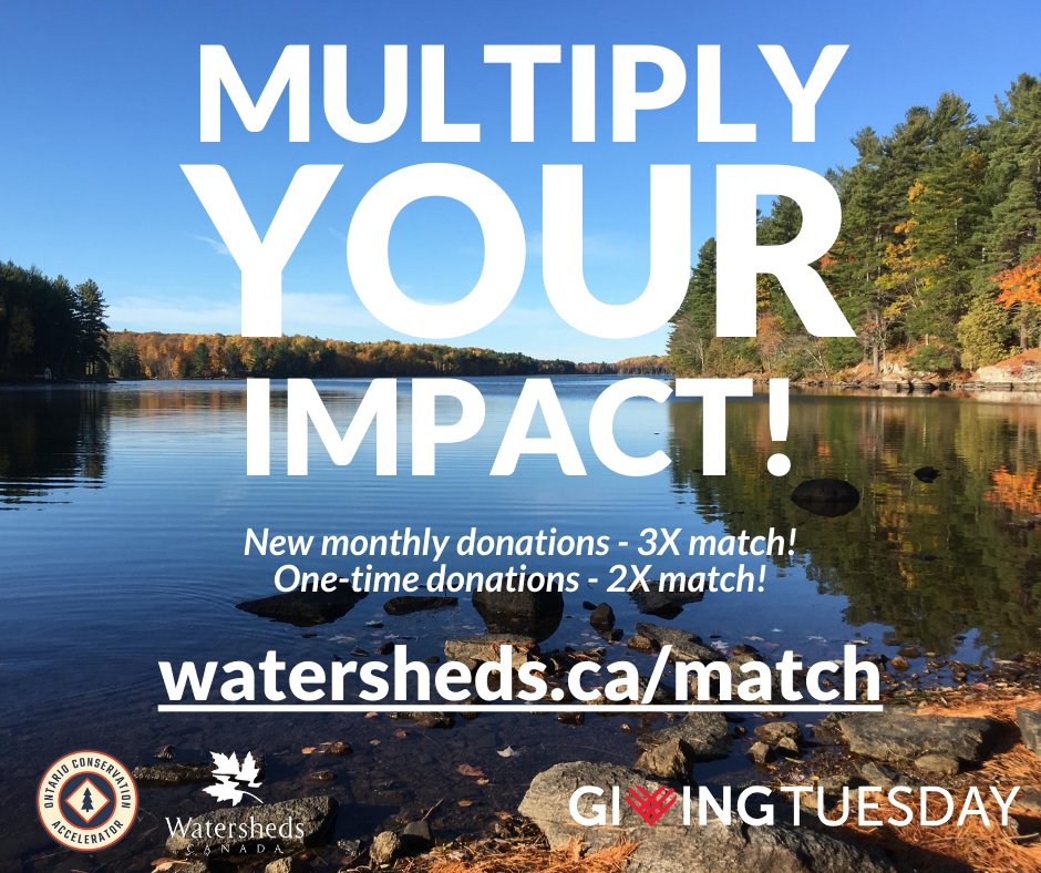 It all starts here, with you! Every donation matters as we all work together to protect Canada's lakes, rivers, and shorelines. This Giving Tuesday, all donations will go 2-3X's further thanks to the generosity of Ontario Conservation Accelerator.

Don't miss your chance to have