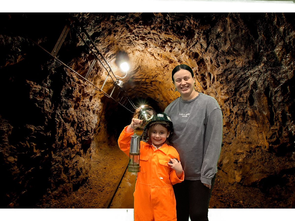 Markham Year 2 tweet media