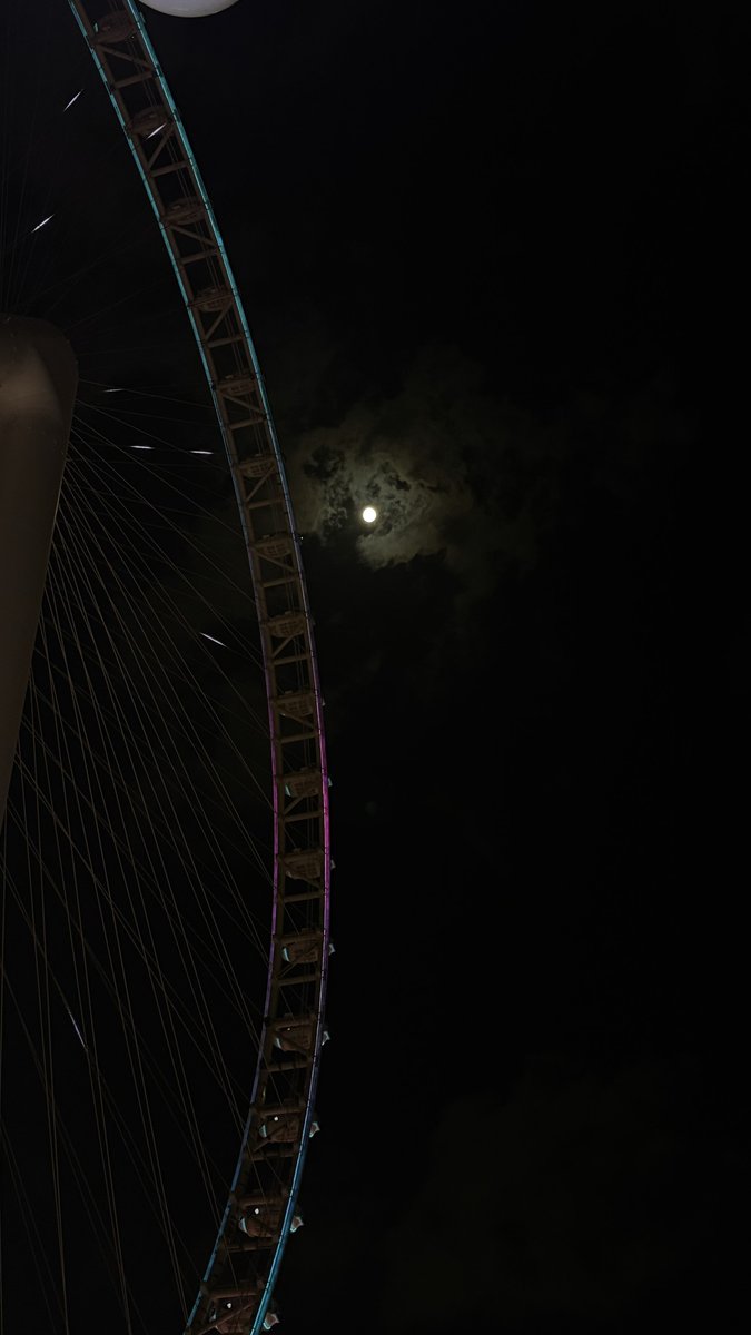 curlsoconfusing's tweet image. 