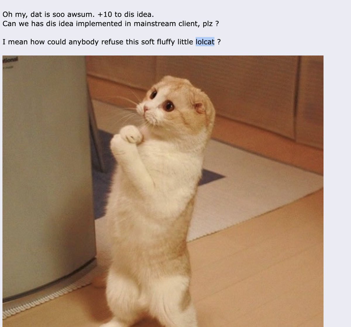 Dune tweet media