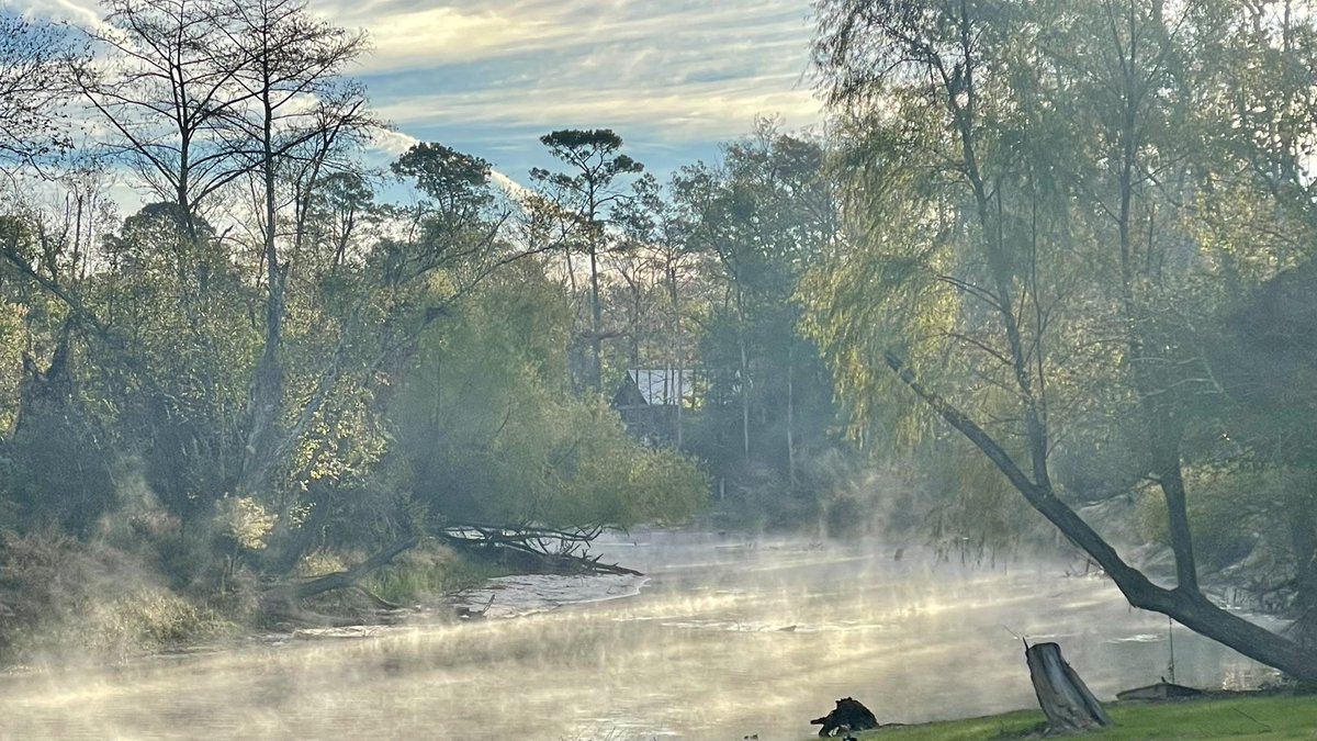 Katy Snell tweet media