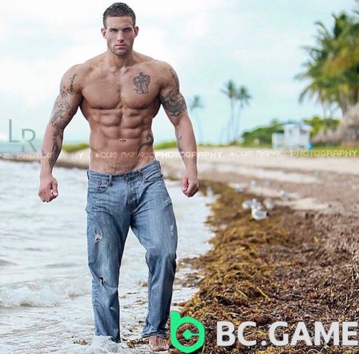 TheBullishTradR's tweet image. Can I get a GM?