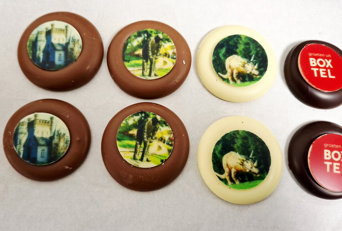 gina_huijbregts's tweet image. Hoe leuk als jouw foto's van de lokale bezienswaardigheden op chocoladeflikjes worden afgedrukt. Best een beetje trots 😃😃😃.

#KasteelStapelen #DeKeistamper #Dinosaurus