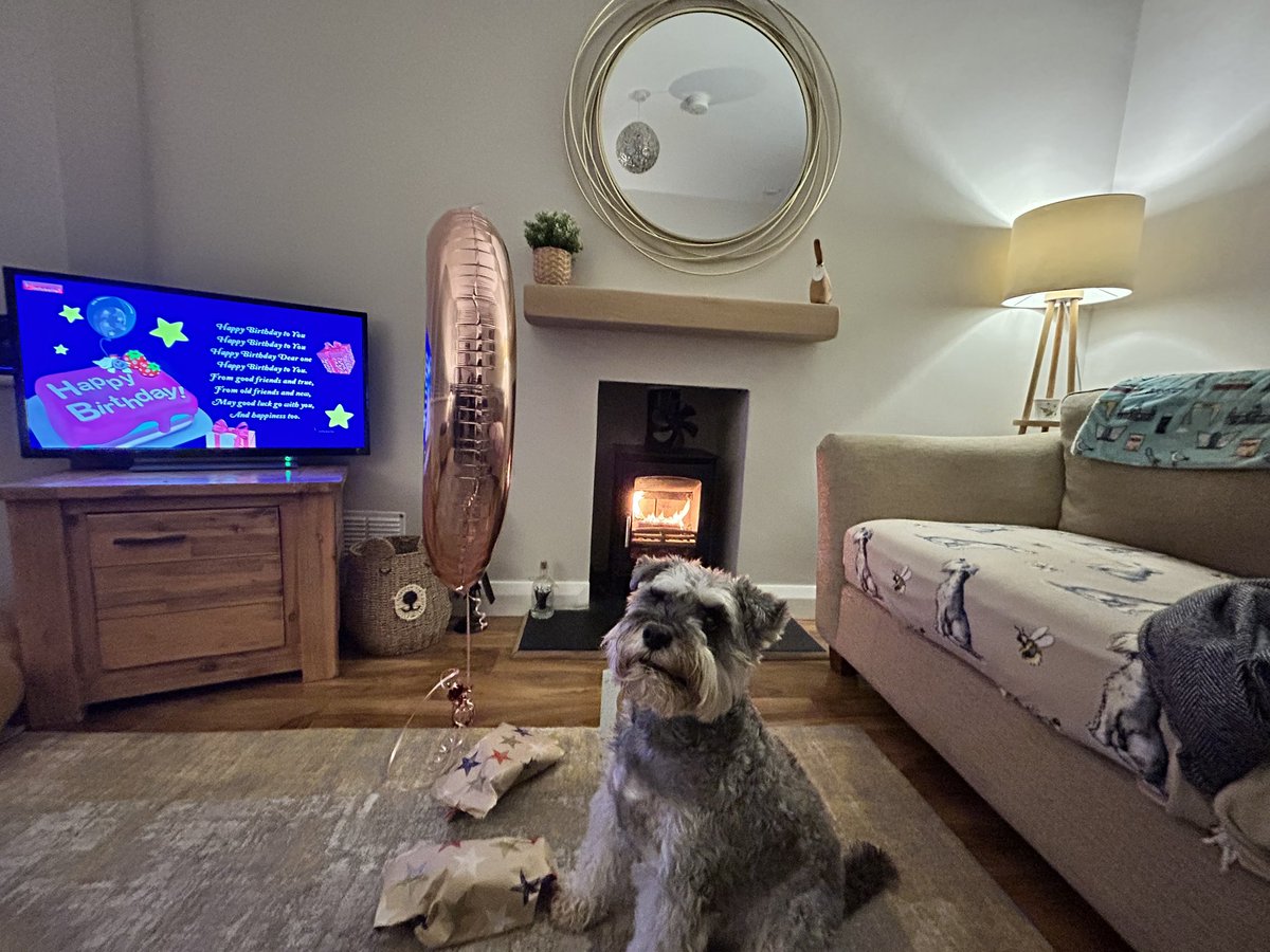 DrIanCollen's tweet image. Happy 9th birthday to the best boy, Spencer! @Mutleyrocks His wee mate Hugo is here for a partay 🥳 @tonebone91 @Katie_Kildea