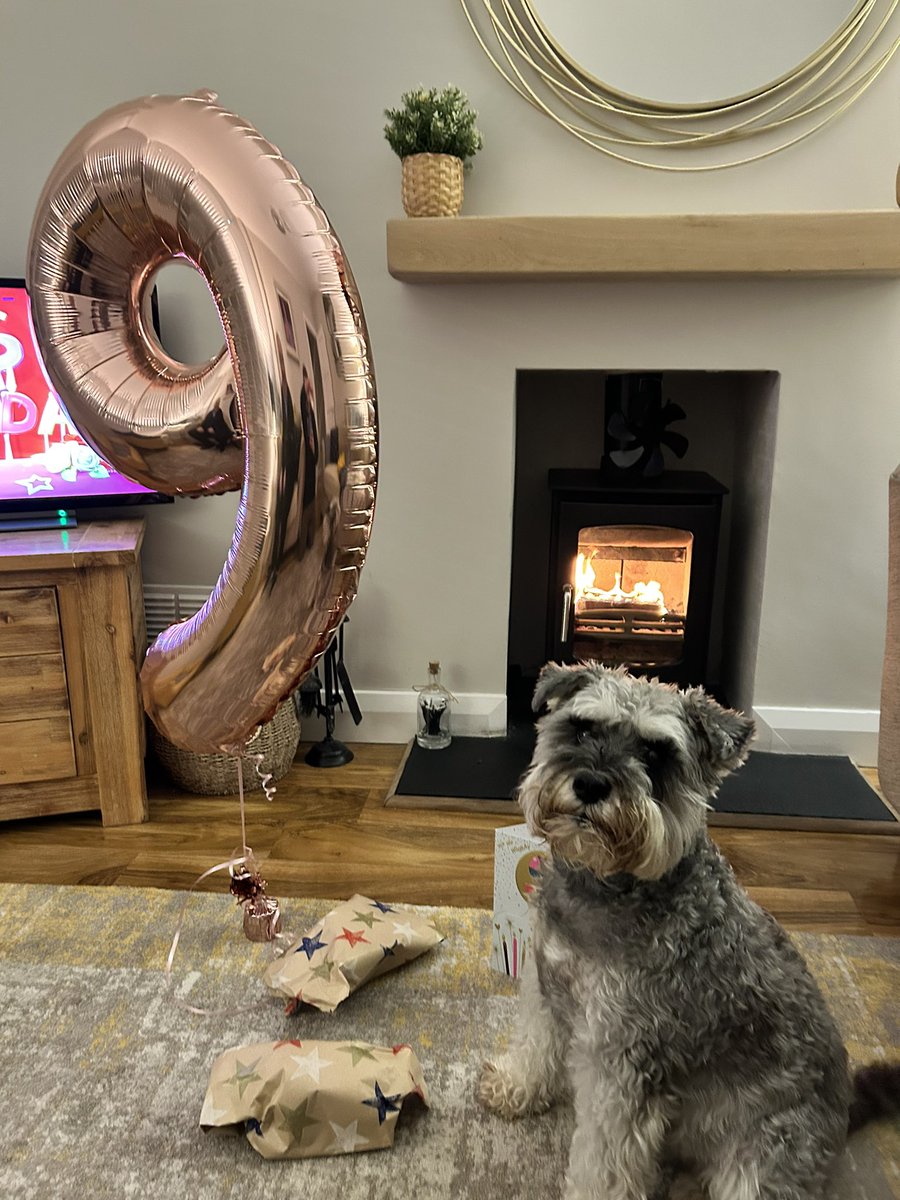 DrIanCollen's tweet image. Happy 9th birthday to the best boy, Spencer! @Mutleyrocks His wee mate Hugo is here for a partay 🥳 @tonebone91 @Katie_Kildea