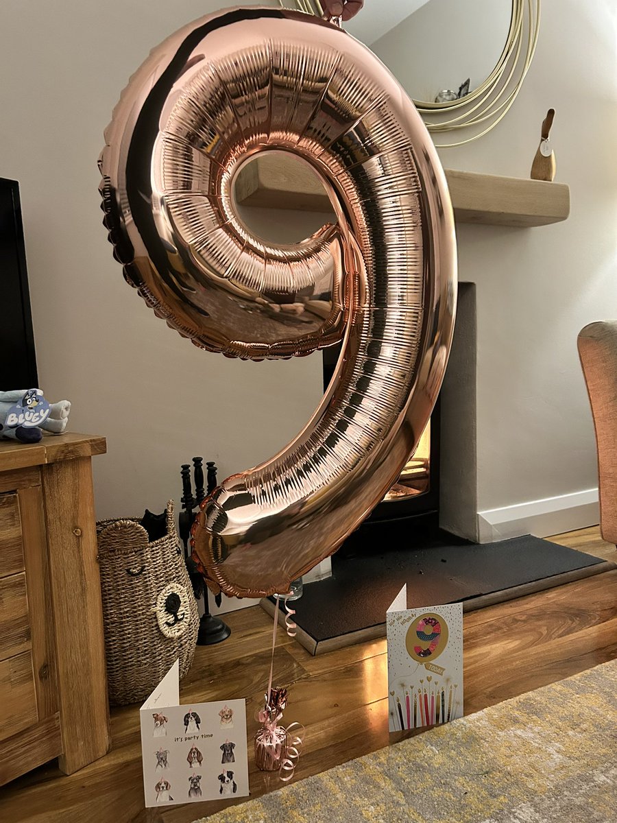 DrIanCollen's tweet image. Happy 9th birthday to the best boy, Spencer! @Mutleyrocks His wee mate Hugo is here for a partay 🥳 @tonebone91 @Katie_Kildea