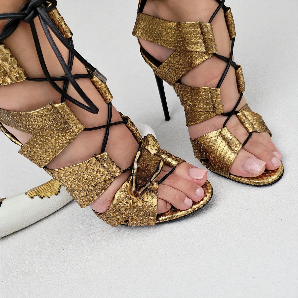 Don't glare for too long. Its not the serpent you should be afraid of.  

check out my profile on <a href="/baseapp/">Base App</a> &amp; <a href="/zora/">$zora</a>
links in bio  

#tomford #snake #highheels #fashionista #BasePosting