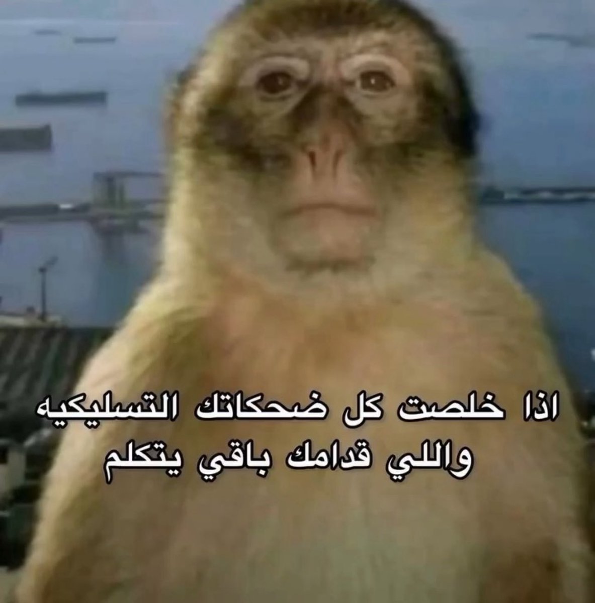 غامض tweet media