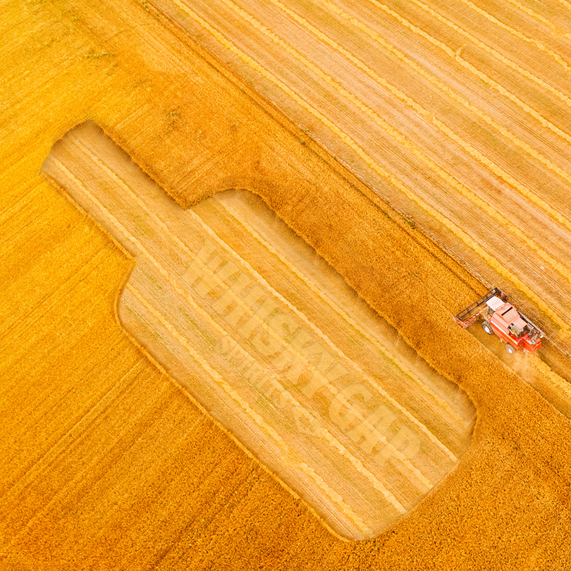 Whisky Gap Spirits tweet media