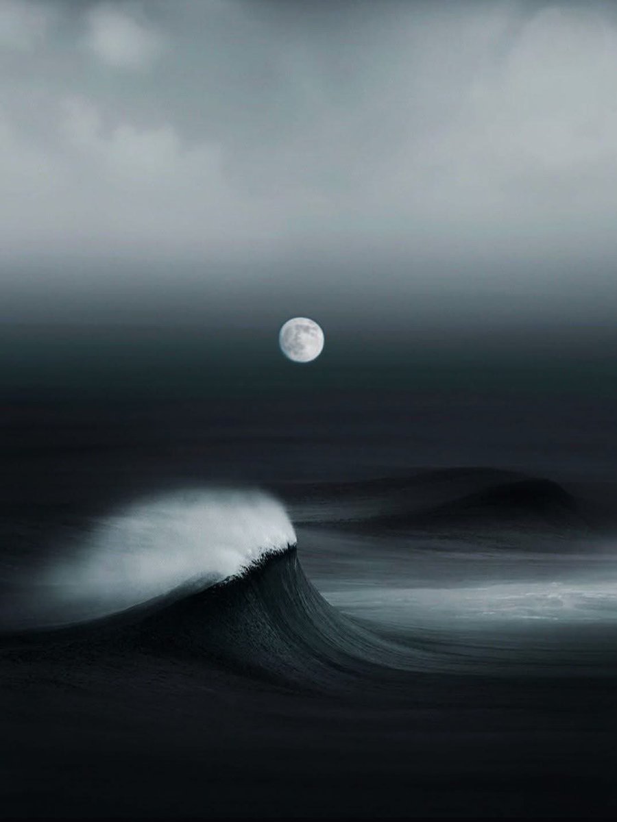 Maiko Kardava tweet media