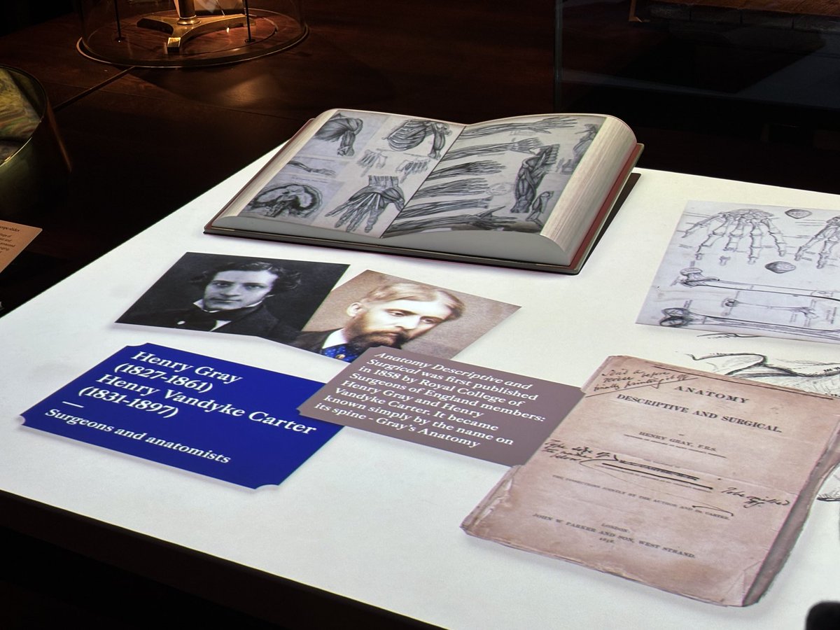 Tim Mitchell tweet media