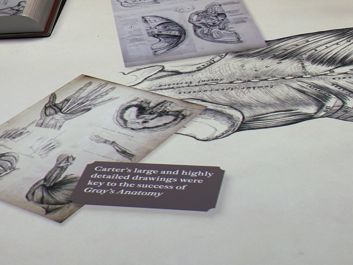 Tim Mitchell tweet media