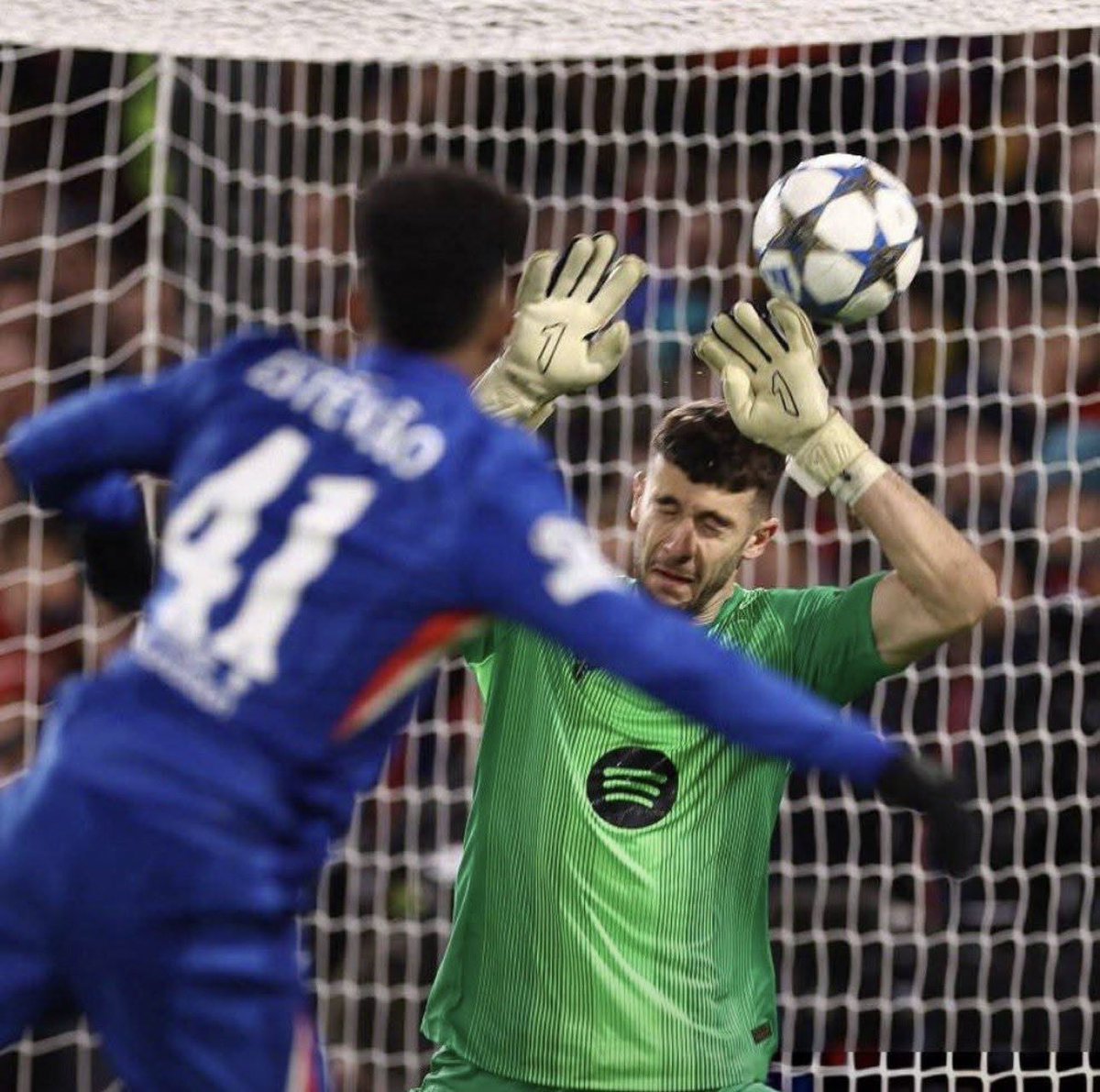 Shepherd tweet media