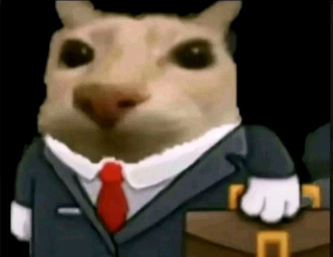 EVIL 🙋🏻‍♂️ tweet media