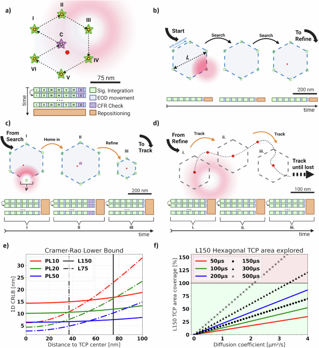 CommsBio's tweet image. Parameter optimization for MINFLUX microscopy enabled single particle tracking: Communications Biology, Published online: 14 November 2025; doi:10.1038/s42003-025-09060-1A Single Particle Tracking parameter optimization pipeline for MINFLUX microscopy. nature.com/articles/s4200…