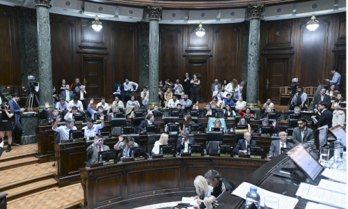 adnciudad's tweet photo. Crean el Registro Público de Vacantes en Colegios Privados - https://t.co/PFzn3Opn2O #RegistroPúblico #Vacantes #ColegiosPrivados #CABA @LegisCABA #Sesión @gracielaocana #GenovevaFerrero https://t.co/r3Qrq9Q7Z1