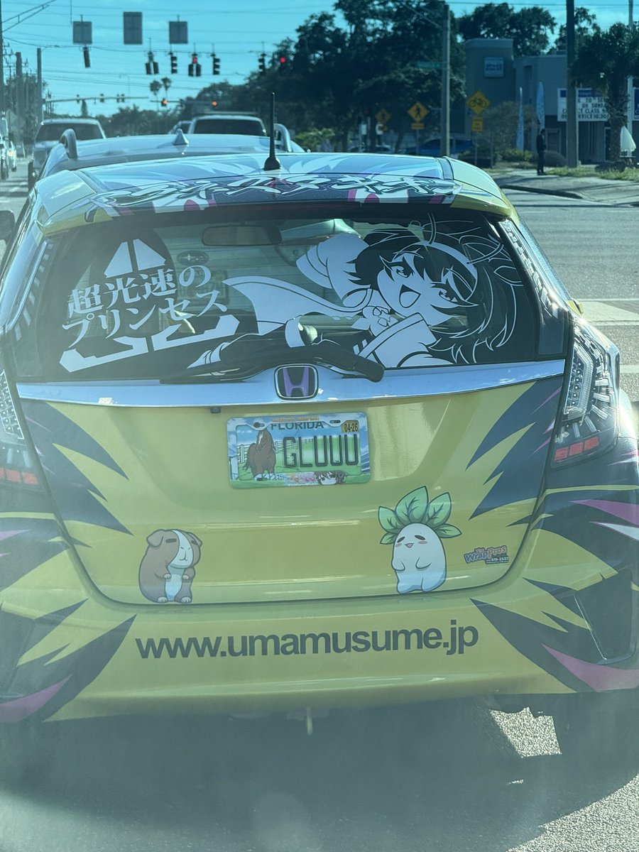 Omg umamasume car