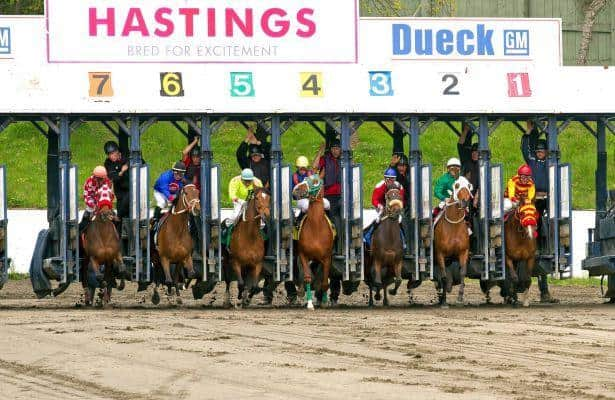 HR_Nation's tweet photo. British Columbia ends slot revenue for horse racing effective January 31.

https://t.co/5n6Nk7UtNE

📸: Hastings Racecourse https://t.co/yIew67npOv