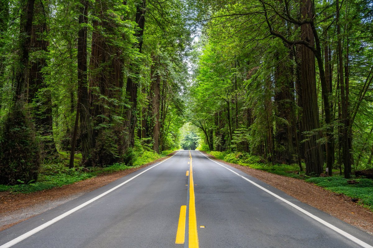 Armando Ayala tweet media