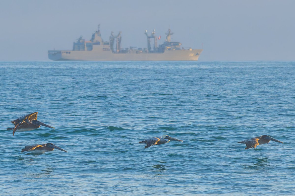 Armando Ayala tweet media