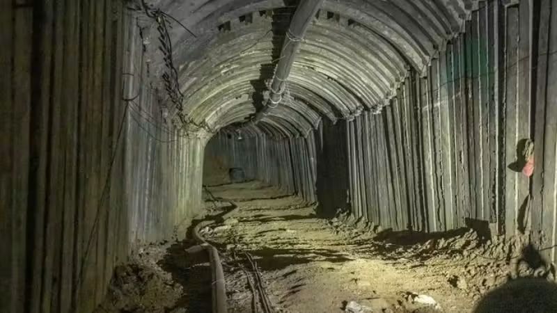 Abdo Fayed - عبده فايد tweet media