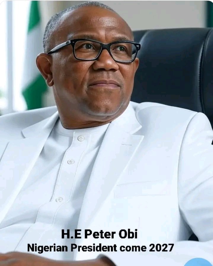 real_ogmn's tweet image. We have learnt another nugget from HE @PeterObi today!

&quot;Integrity is not something you switch on when convenient; it is a way of life. Every leader must first build a bridge between their private values and their public actions&quot;. - PO
27/11/2025 #ADC