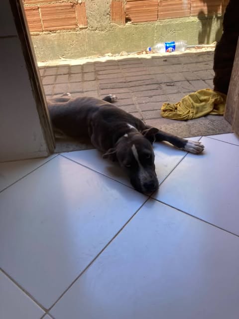 meu amigão se encontra em um momento dificil e para manter o tratamento, estou fazendo uma maratona oline arrecadando especificamente para o cuidado  dele, conto com a sua presença, tamo junto

🟣twitch.tv/jeielup 
🟢kick.com/jeielup